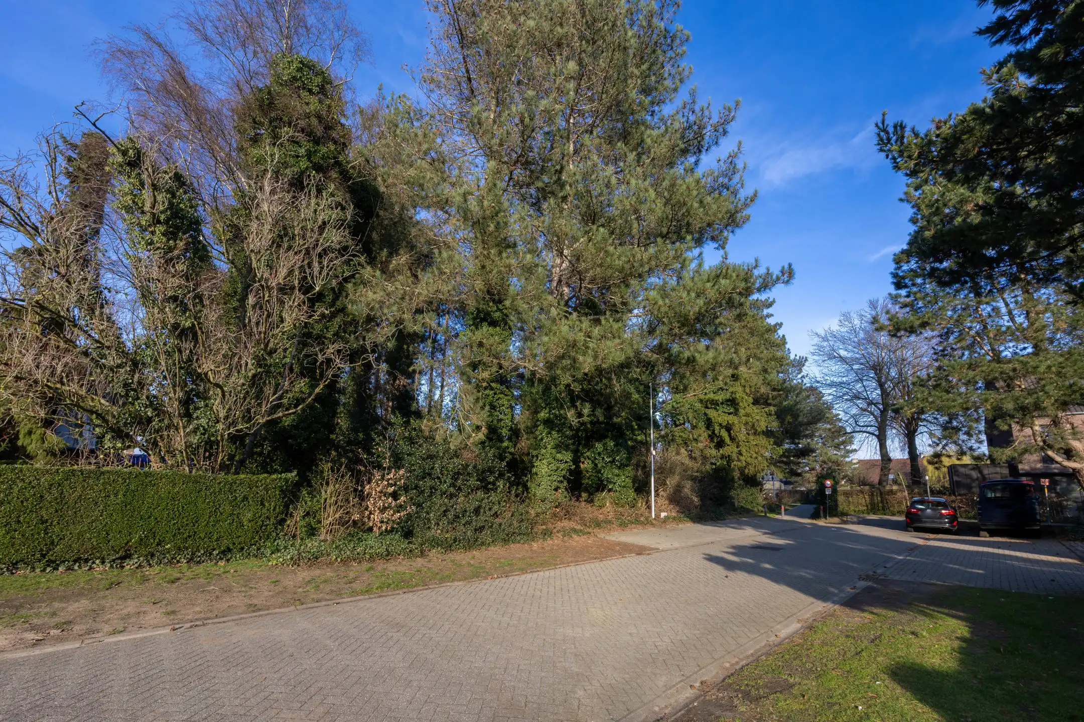 Prachtige bouwgrond van 735m² in een doodlopende straat.  foto {{pictureIndex}}