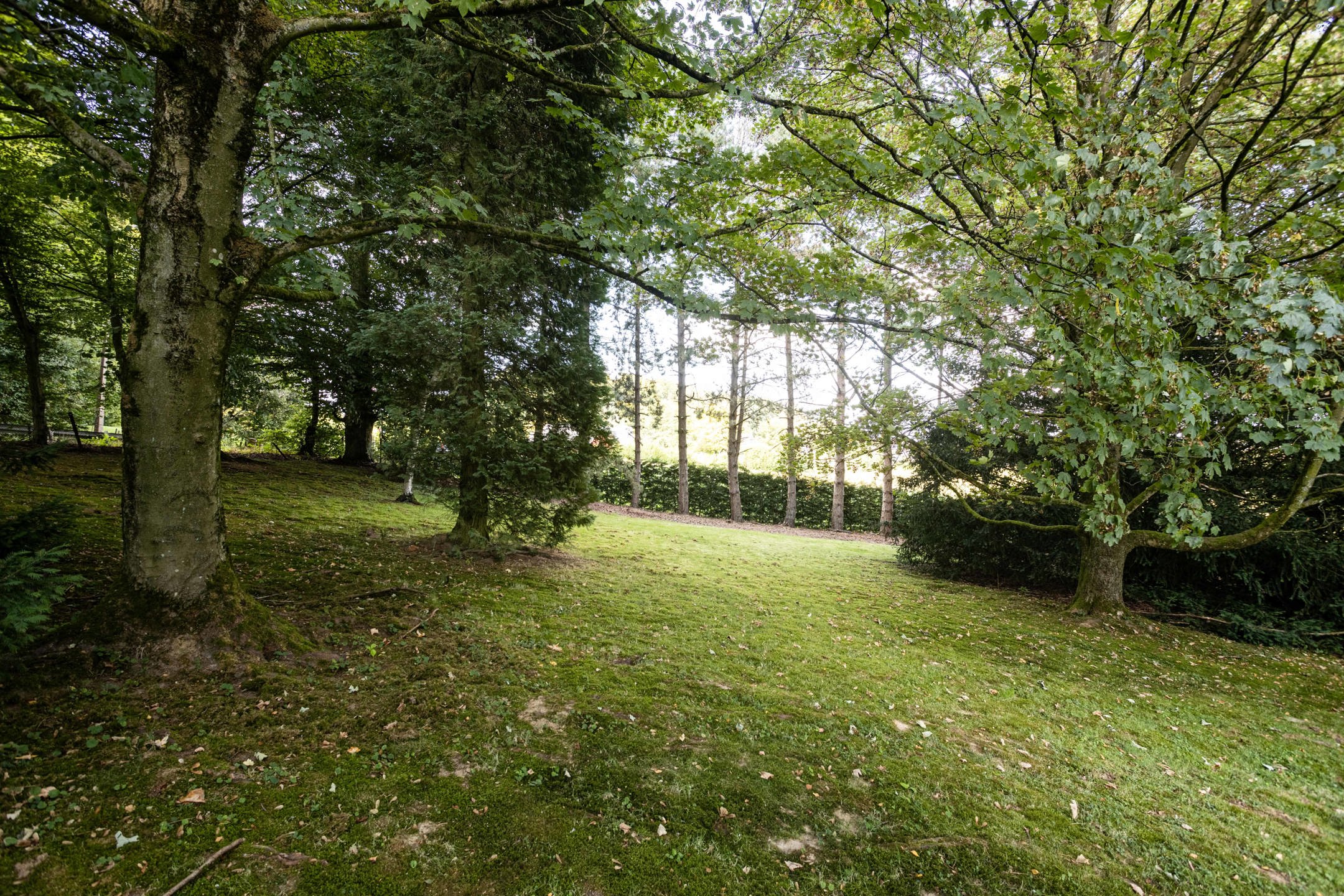 Uitzonderlijke villa met prachtige zichten op unieke ligging foto 23