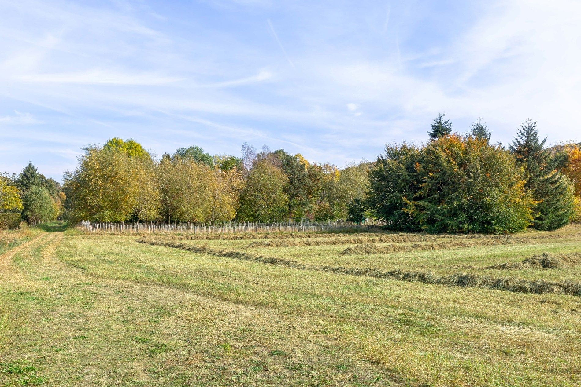 Ruime gezinswoning in perfecte staat van onderhoud! foto 7