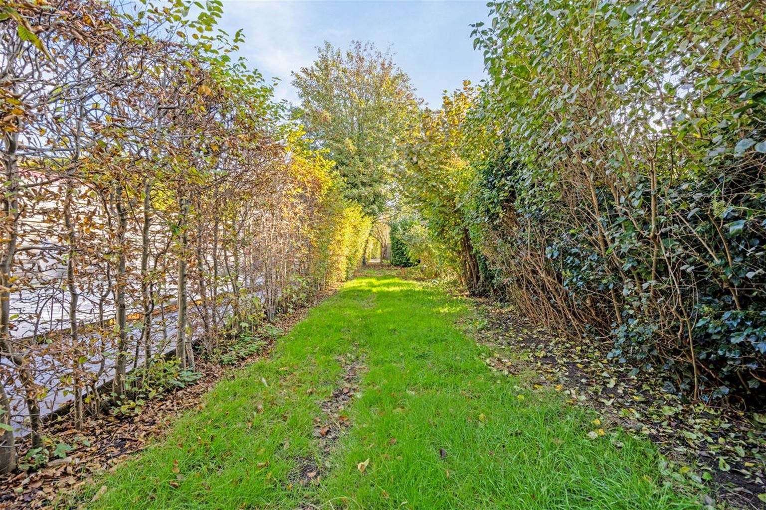 Gerenoveerde stadswoning met 4 slaapkamers en ruime tuin vlakbij het centrum van Maaseik.  foto 19