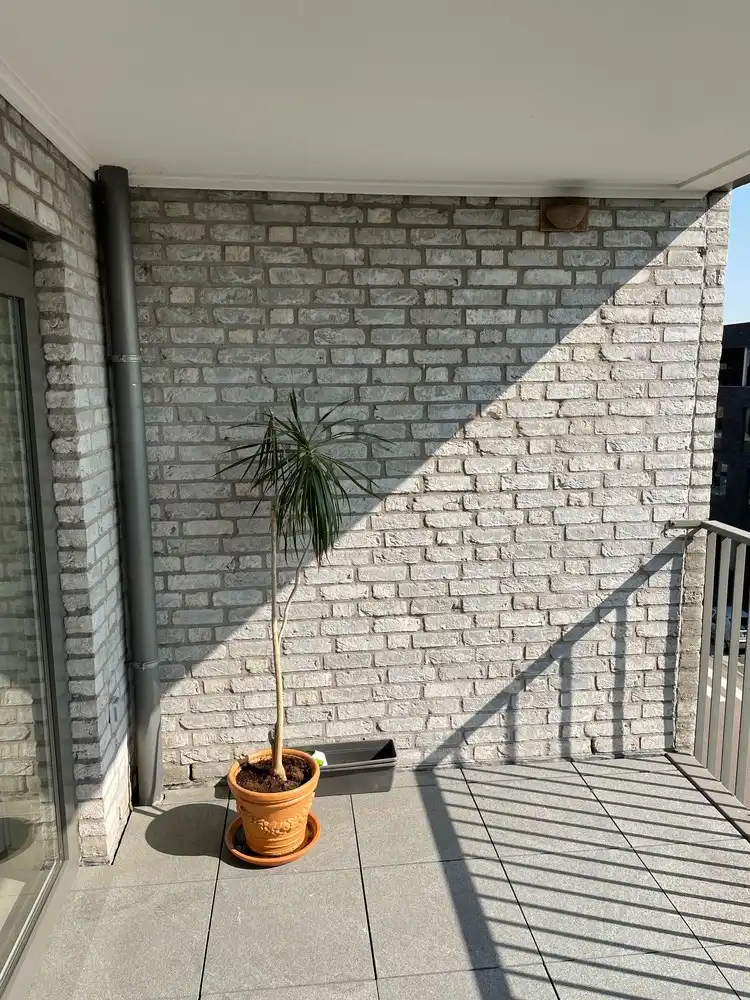 Mooie assistentie - appartement in het centrum foto 6