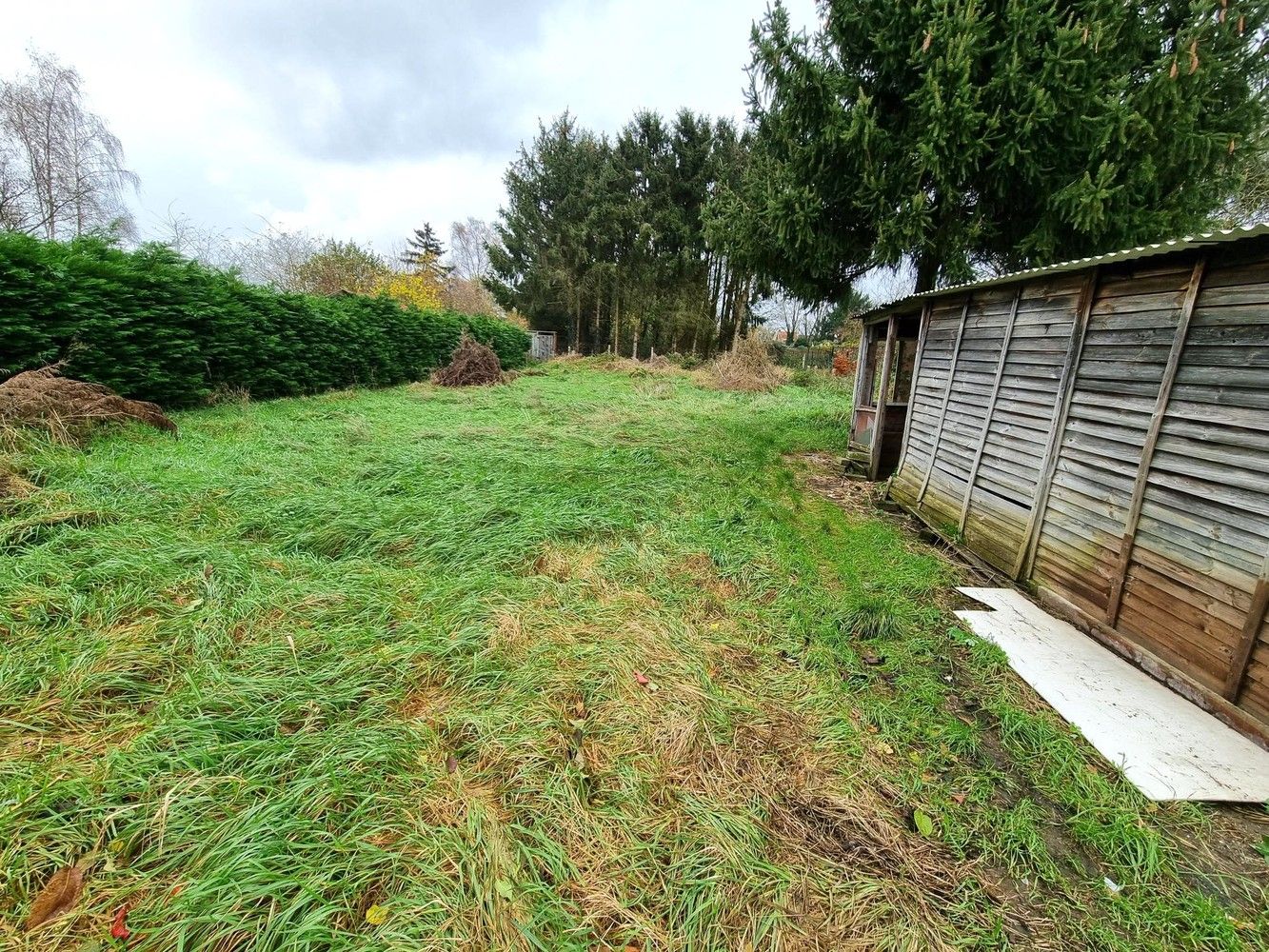 Zeer ruime woning met diepe tuin op 13a24ca. Drie slaapkamers met mogelijkheid tot 4 kamers. foto 3