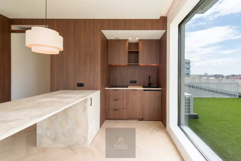 Vernieuwd dakappartement met zeer groot dakterras. foto 11