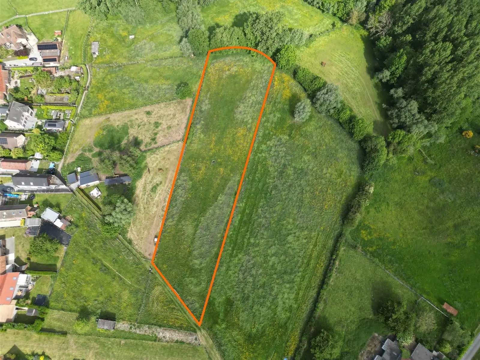 Prachtig gelegen te renoveren  Hoeve woning met stallingen en weides foto 28