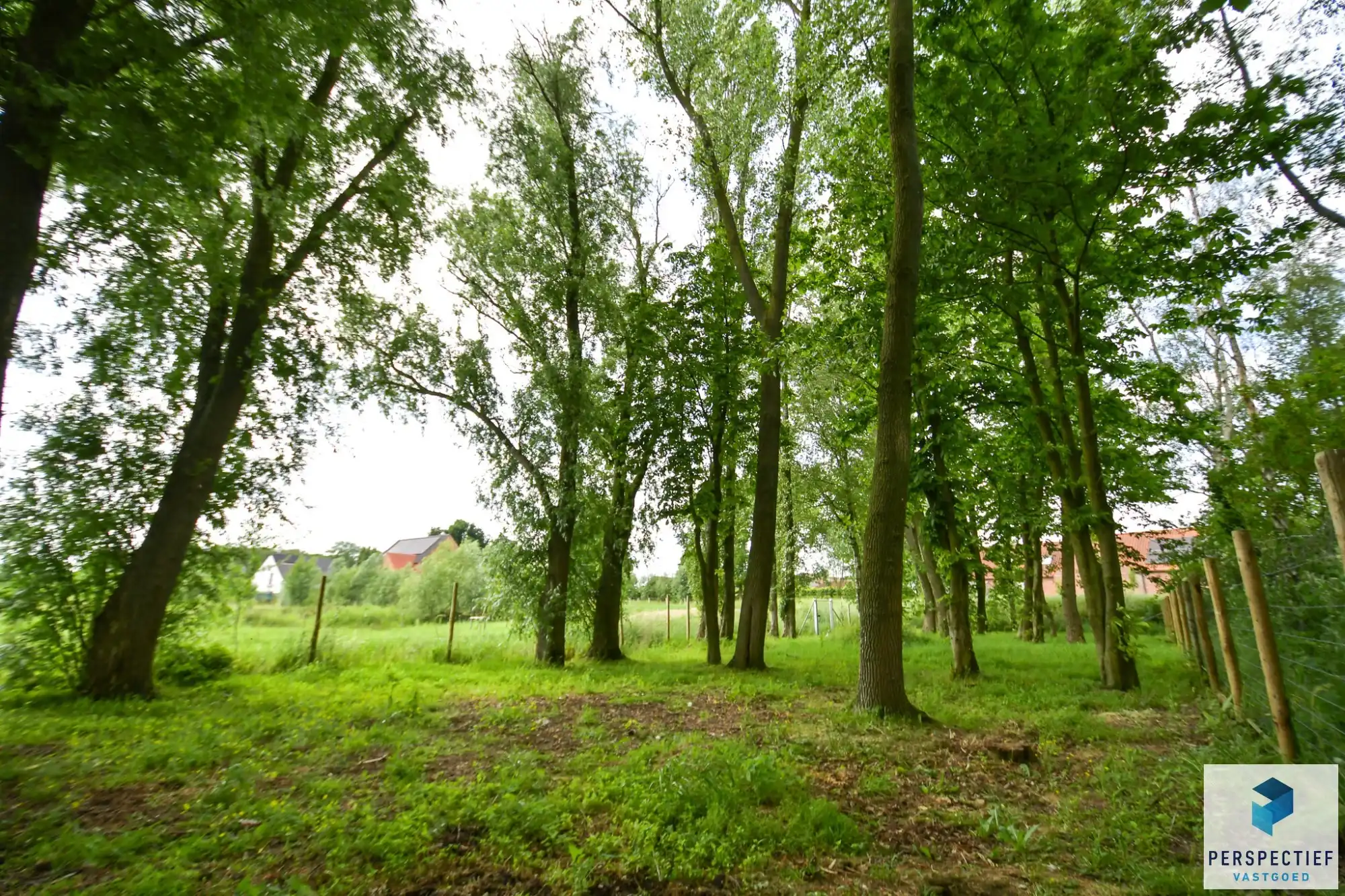Landelijk gelegen ruime woning met tuin, kleine weide & bijgebouw gelegen in Oedelem op  1 365 m² foto 30