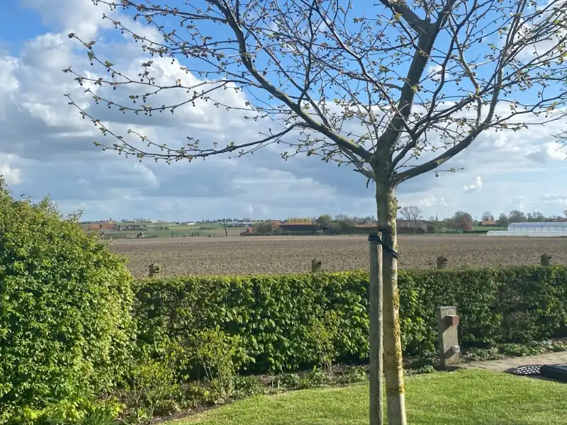 Charmante landelijke woning foto 17