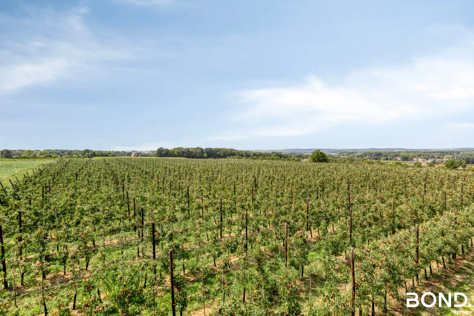 Landelijke villa foto 37