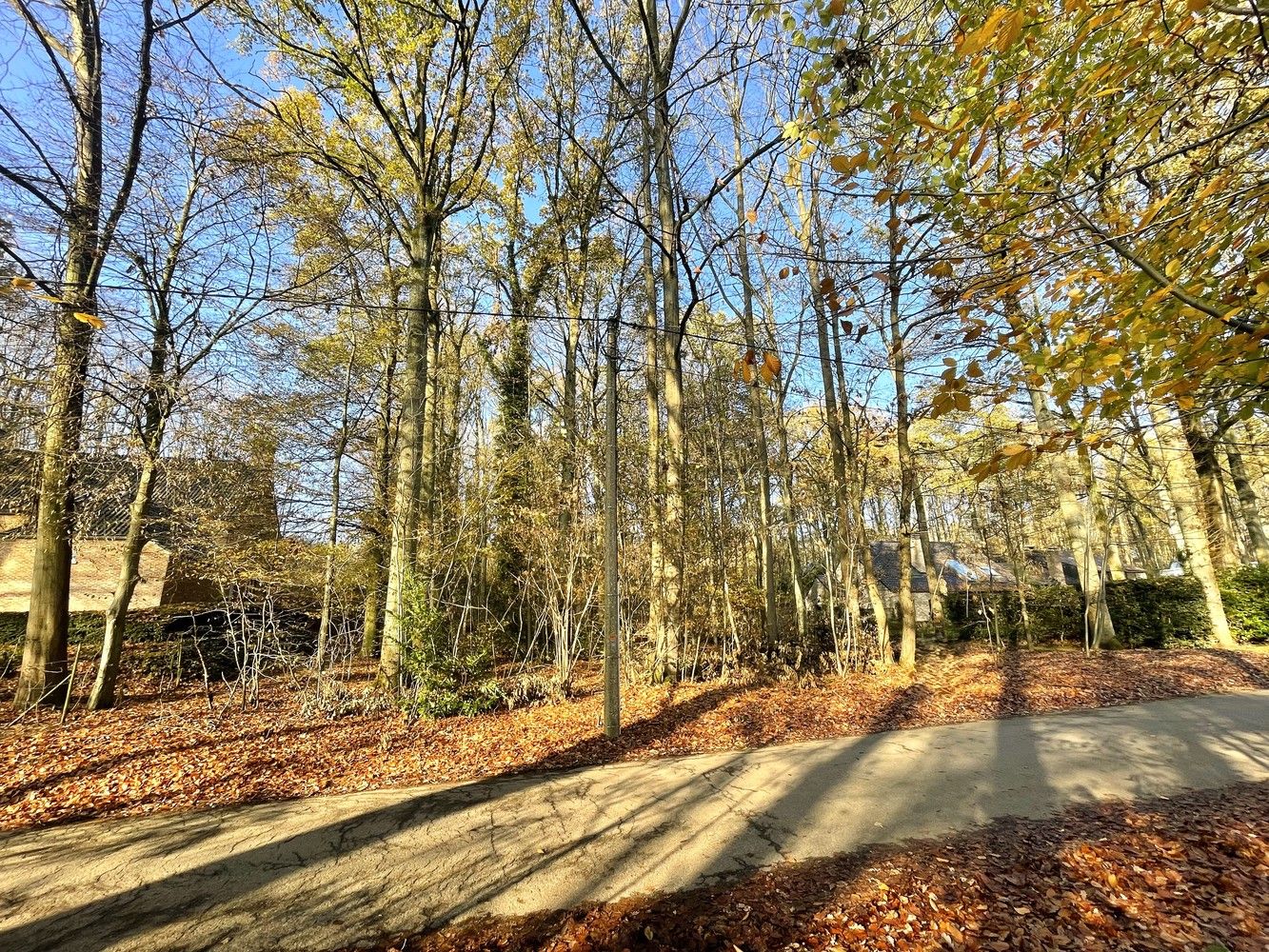 Exclusief perceel bouwgrond te Hoog-Linden foto 2