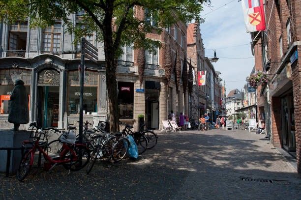 Prachtig opbrengsteigendom met 13 studentenkamers op centrale ligging foto 2