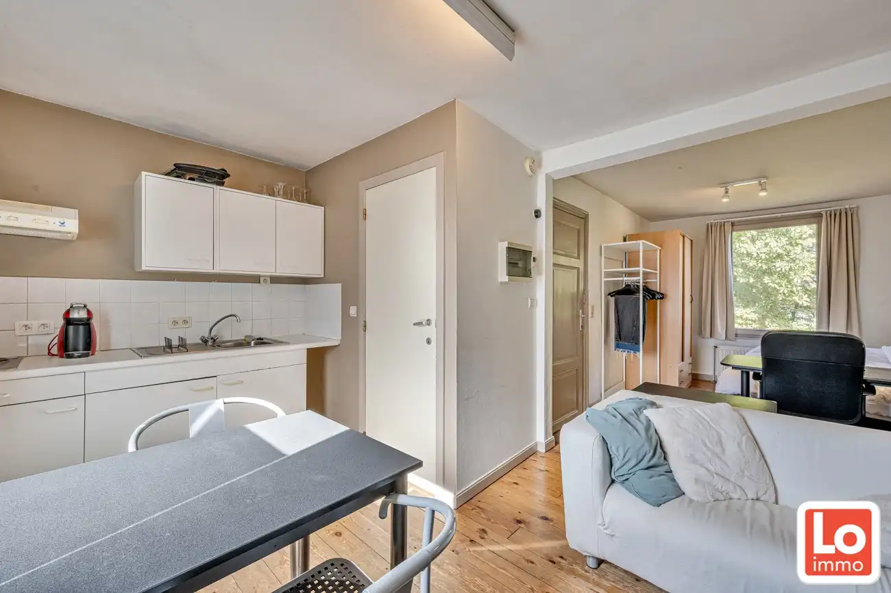 Opbrengsteigendom met 4 studio's/studentenkamers op een topligging bij het Rabot foto 13