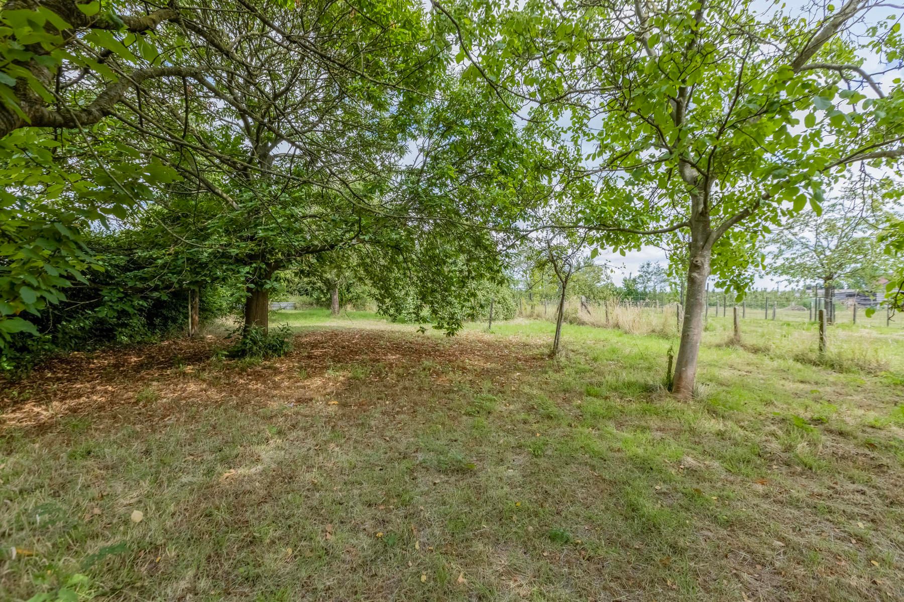 Huis te koop foto 37