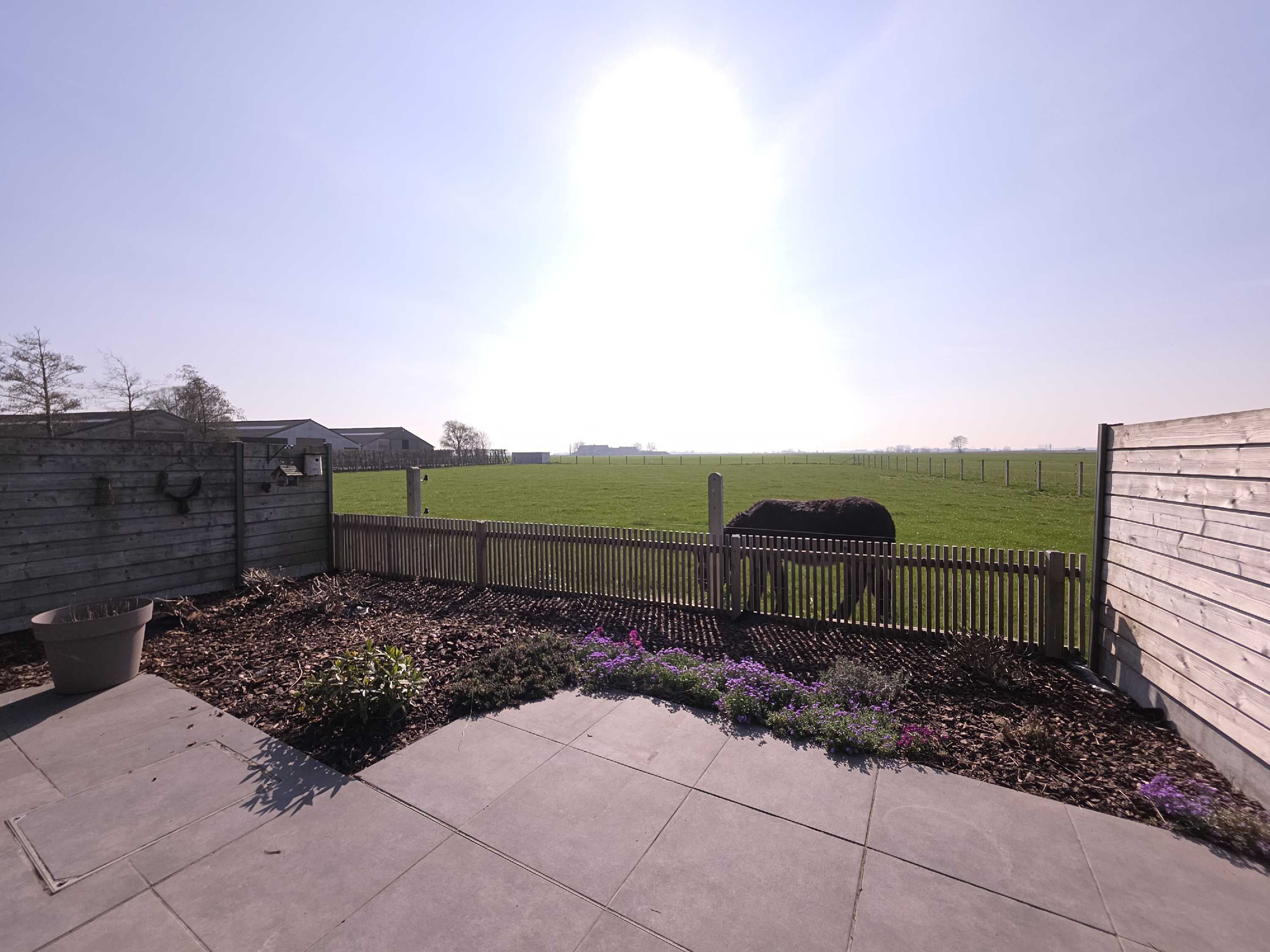 Halfopen bebouwing met zonnig terras en verzichten te Ramskapelle foto 4