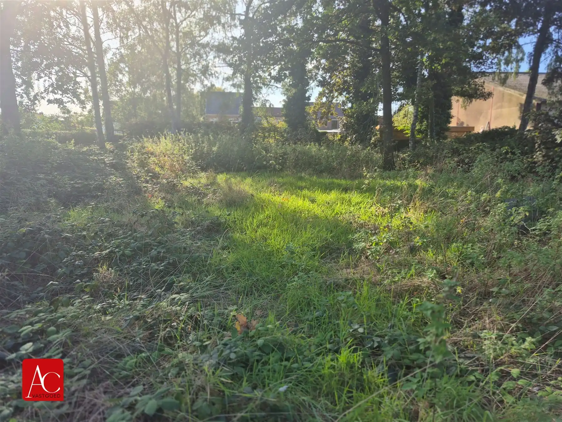 Recreatiegrond te Meerdonk foto 7