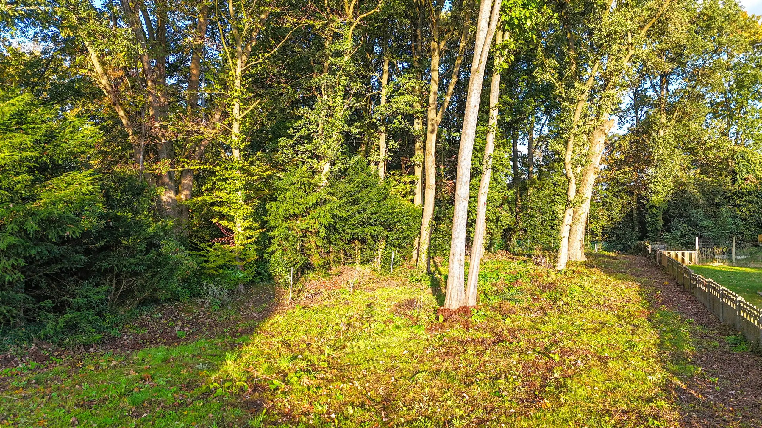 Bouwgrond voor HOB met vergunde plannen in Heusden-Zolder! foto 13