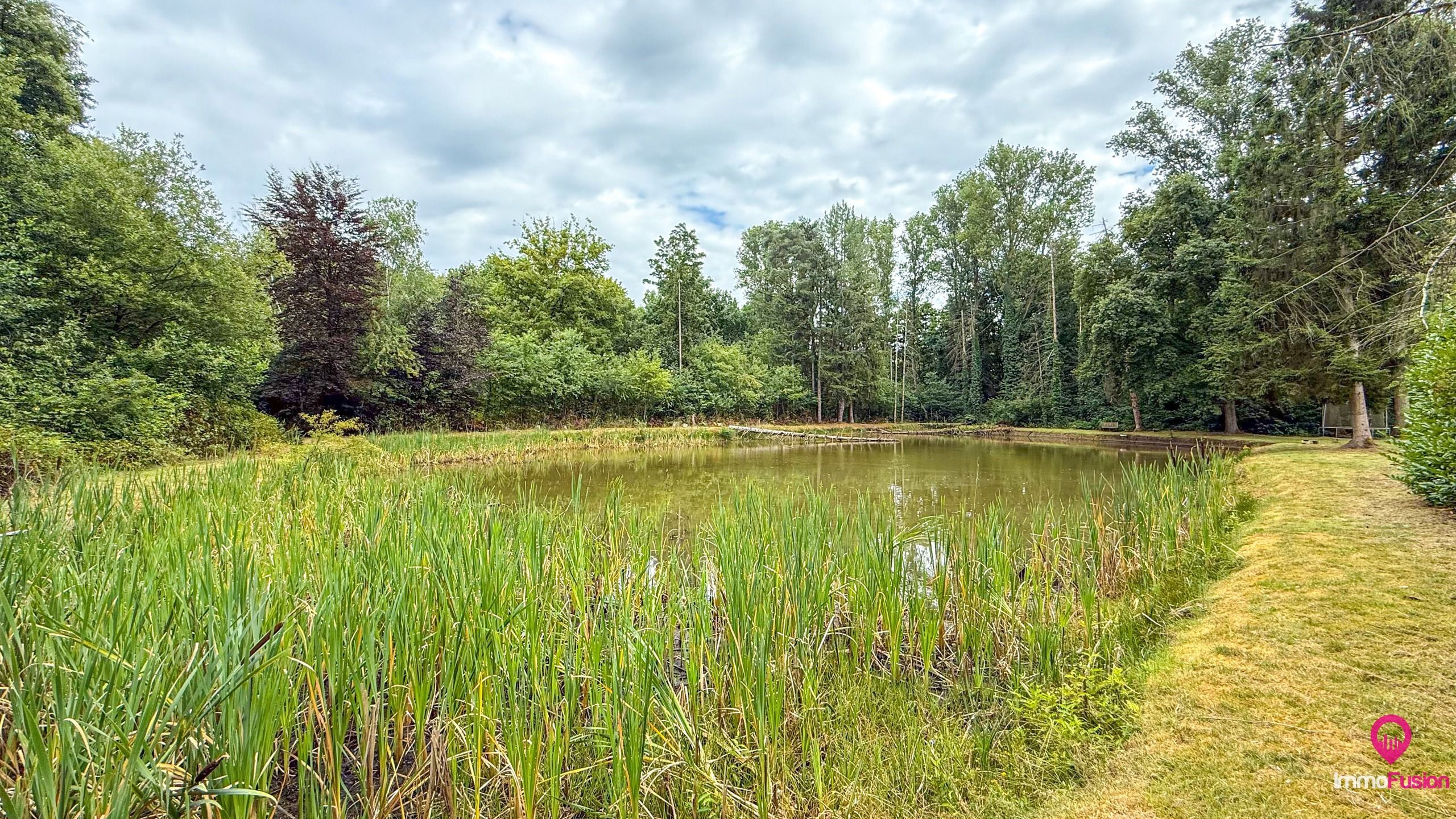 Droom buitenverblijf in Hasselt voor natuurliefhebbers!  foto 32