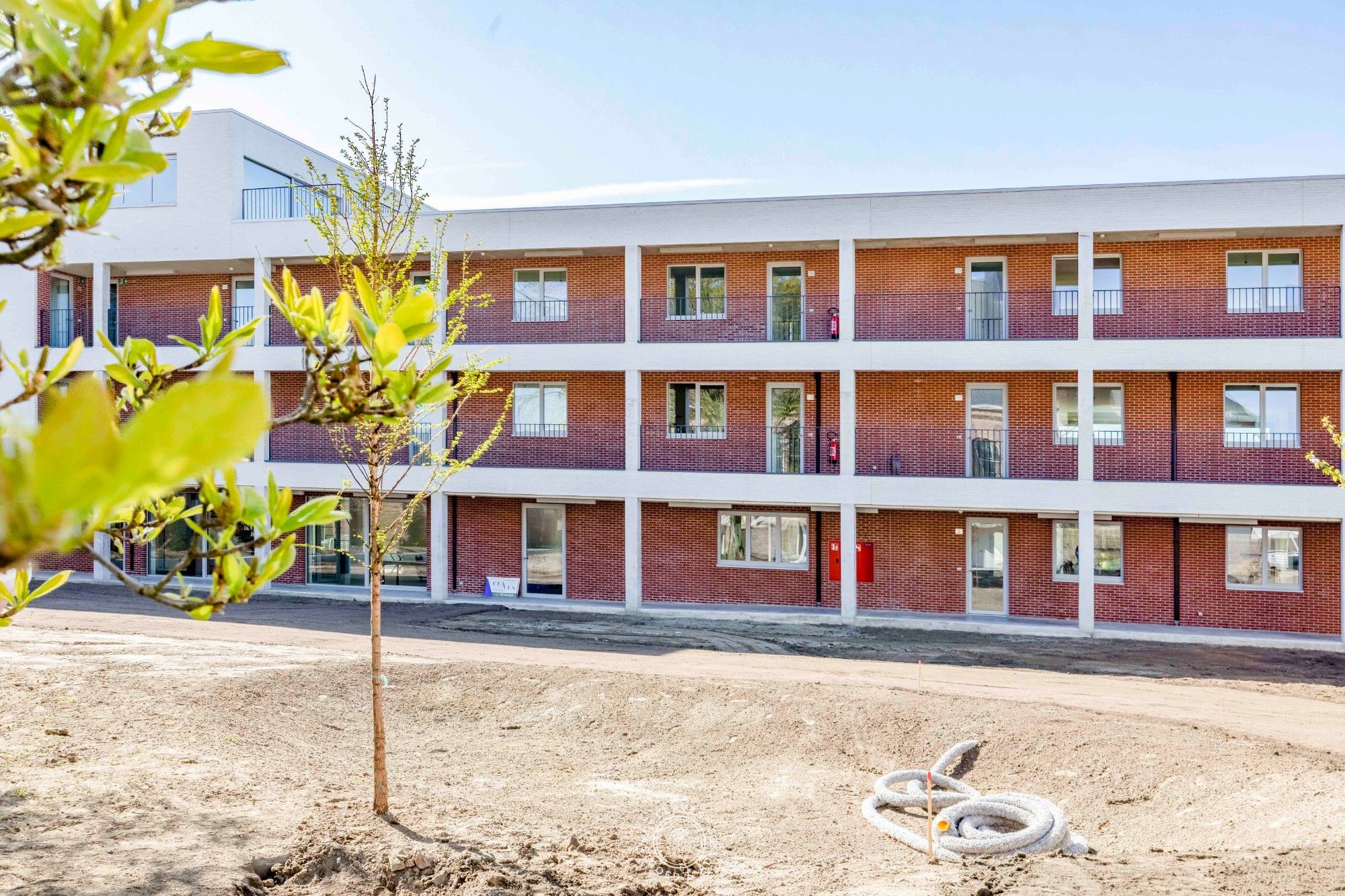 Patershof: Ecologisch en collectief wonen met karakter foto 5