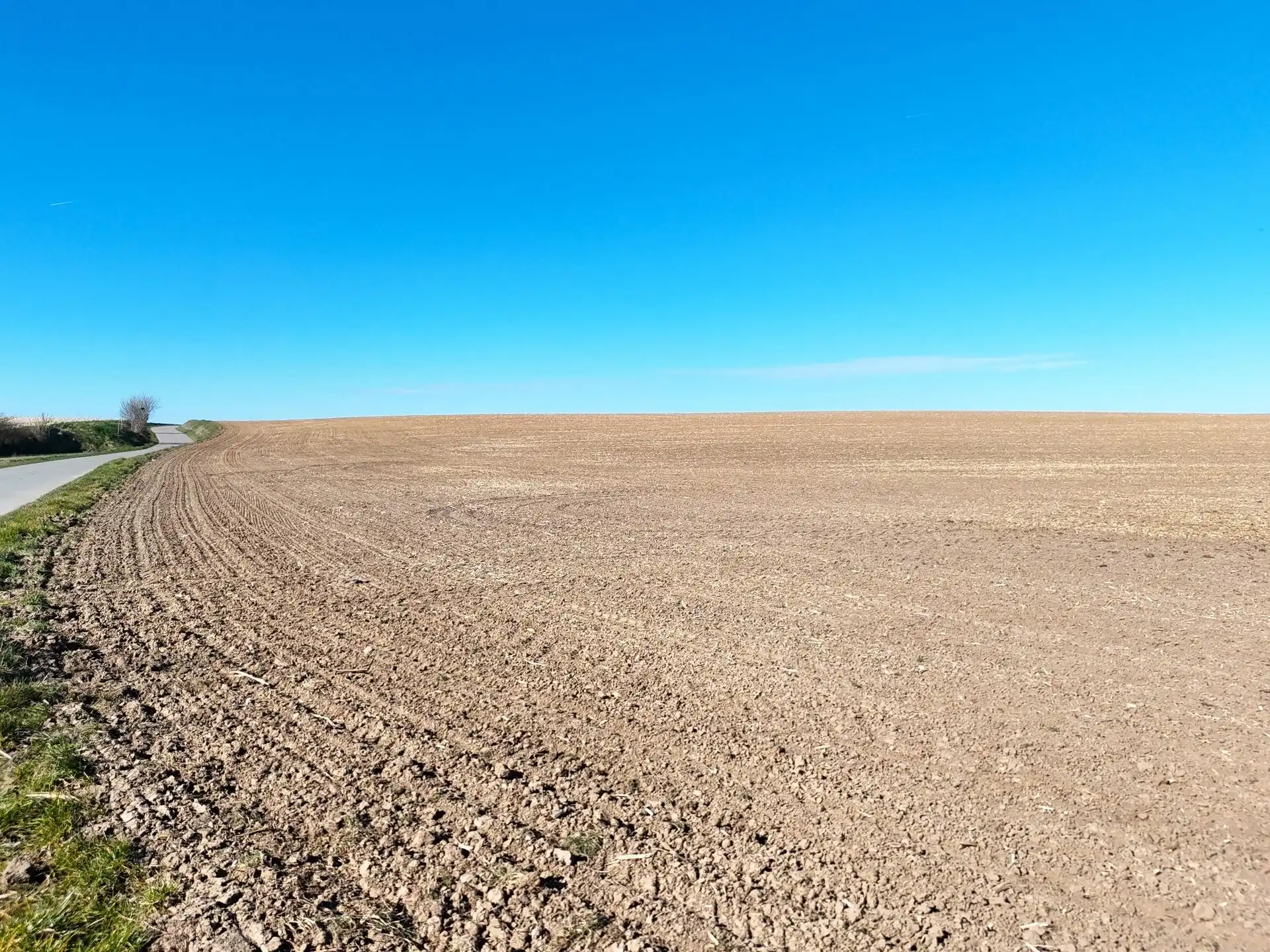 Groot perceel landbouwgrond - BLOK A foto 14