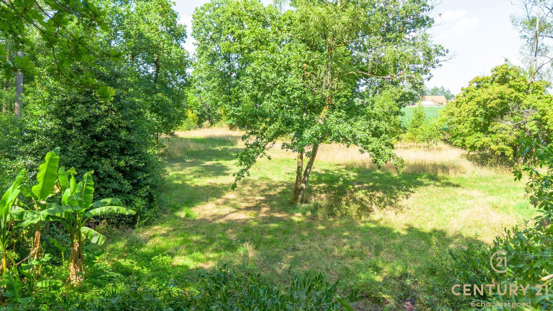 Volledig te renoveren vakantiechalet op een royaal perceel foto 19