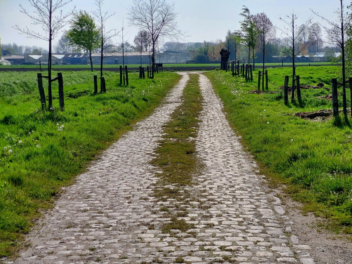 Gerestaureerde hoeve "Ter Leyden" foto 31