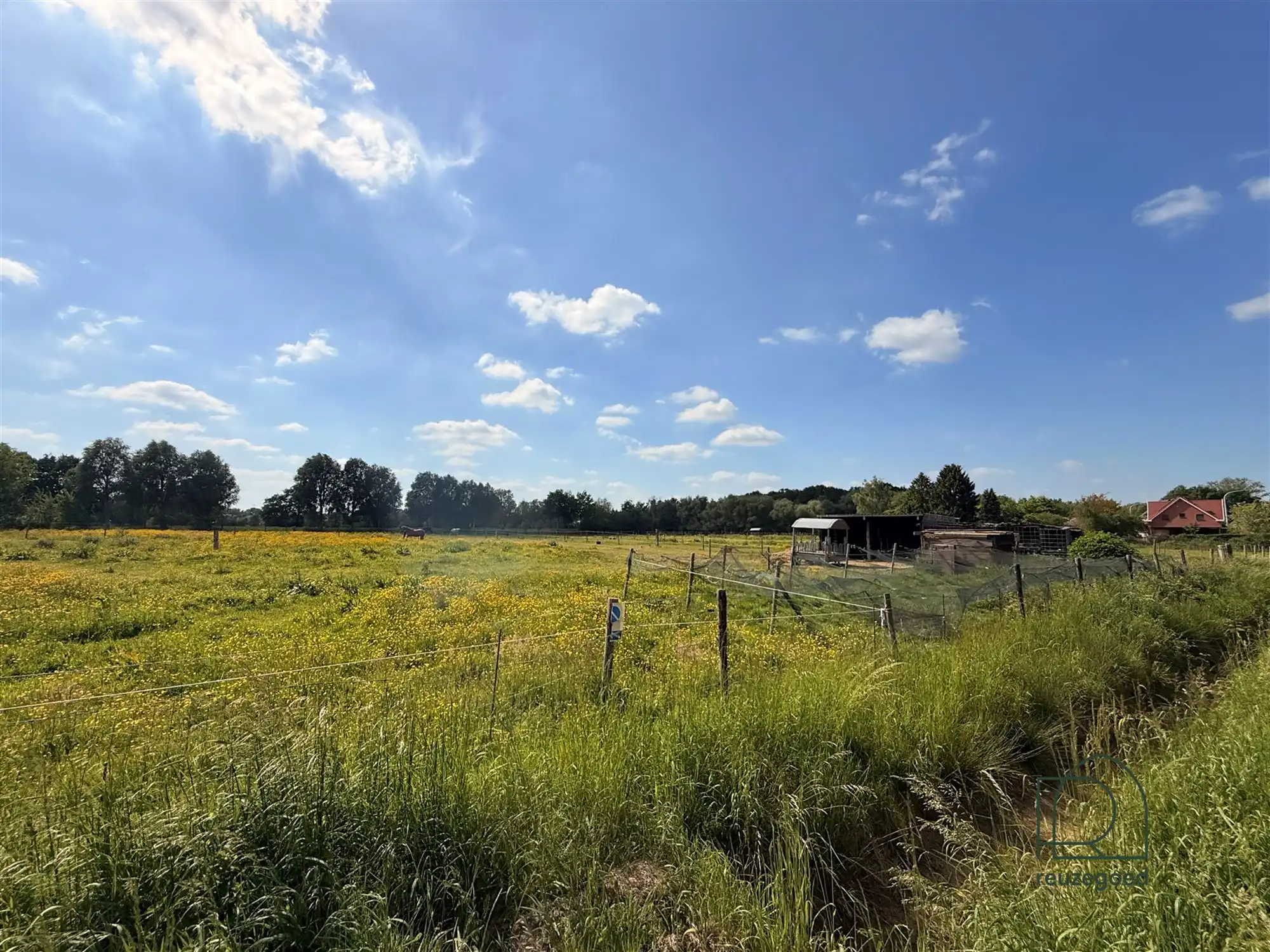 Landbouwgrond in Boortmeerbeek - paardenweide - 2,5 ha foto 8