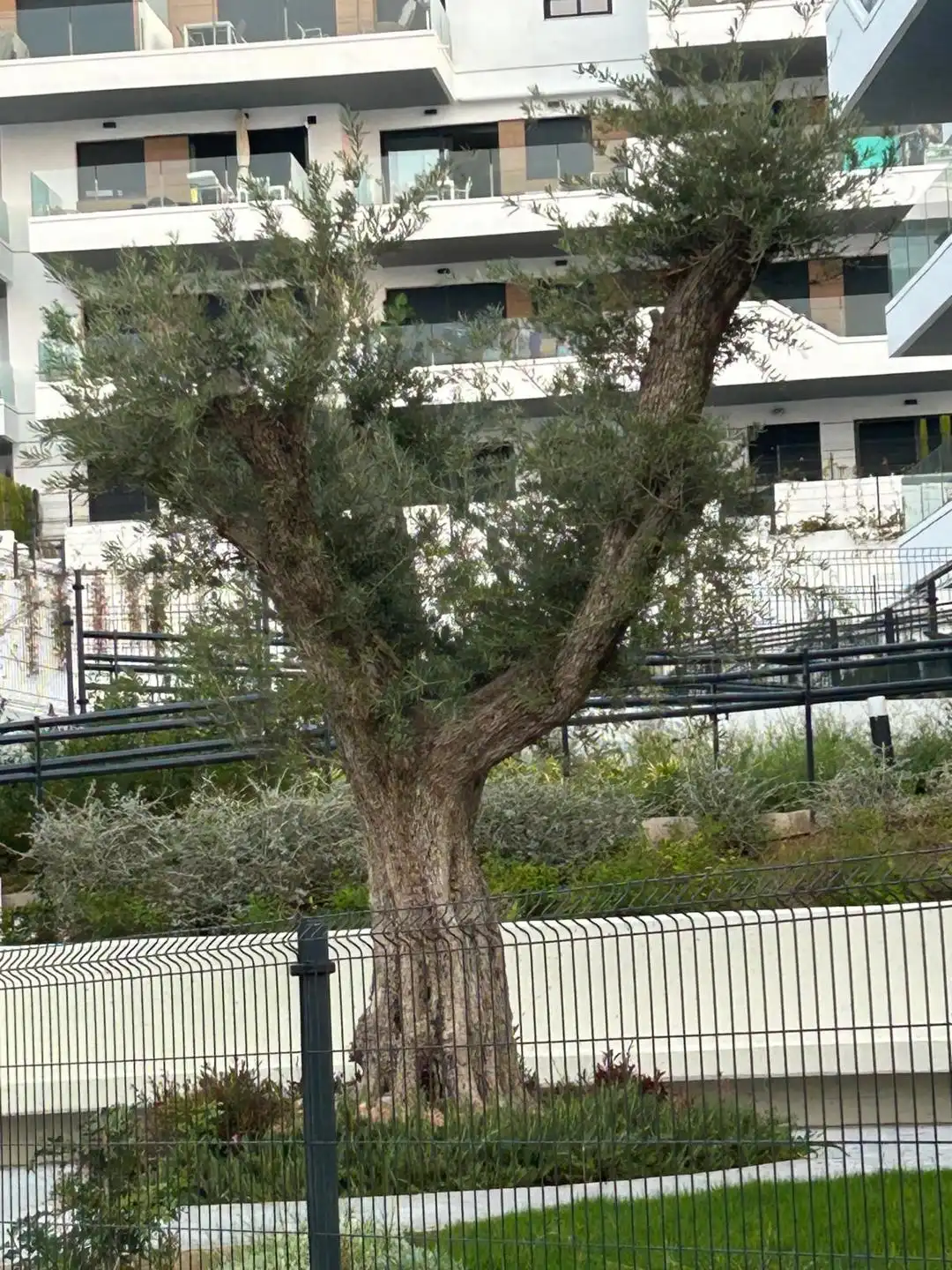 SPANJE - Gelijkvloers appartement met ondergrondse parking foto 18
