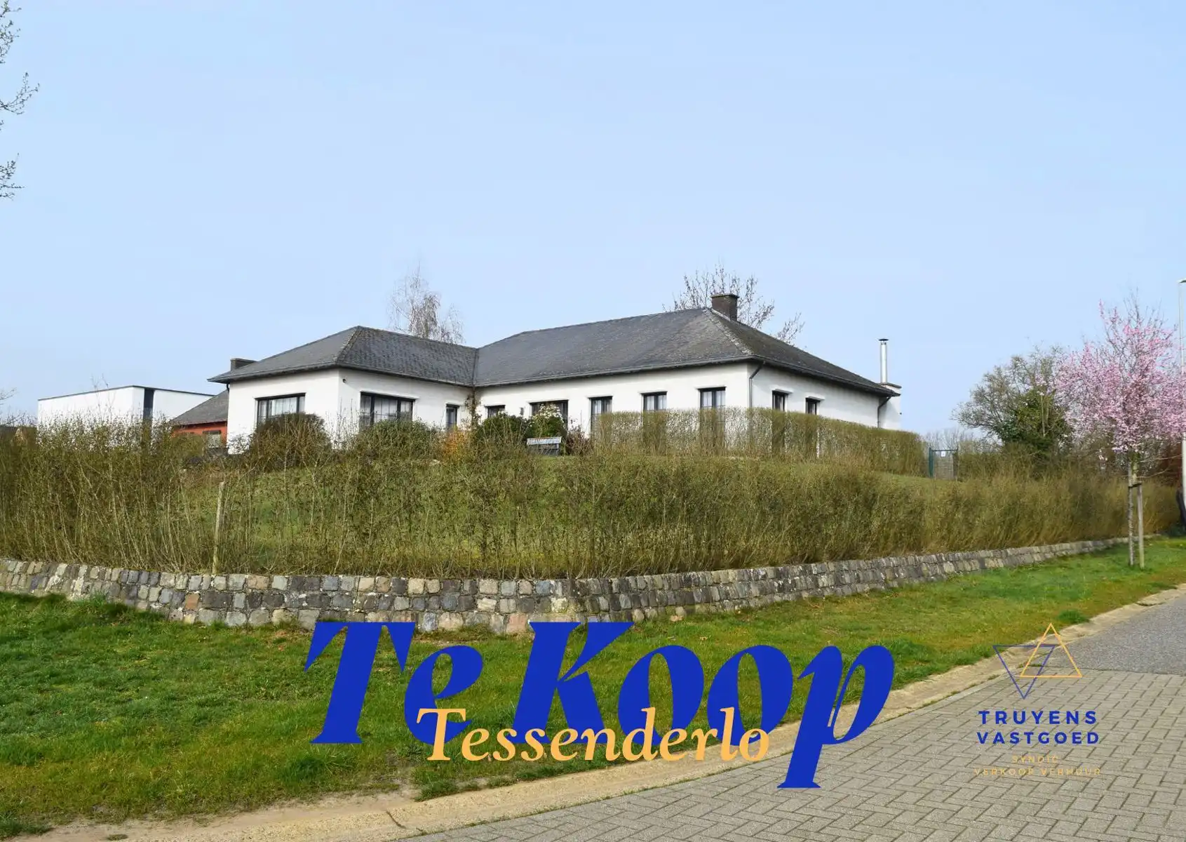 Villa te koop foto 30