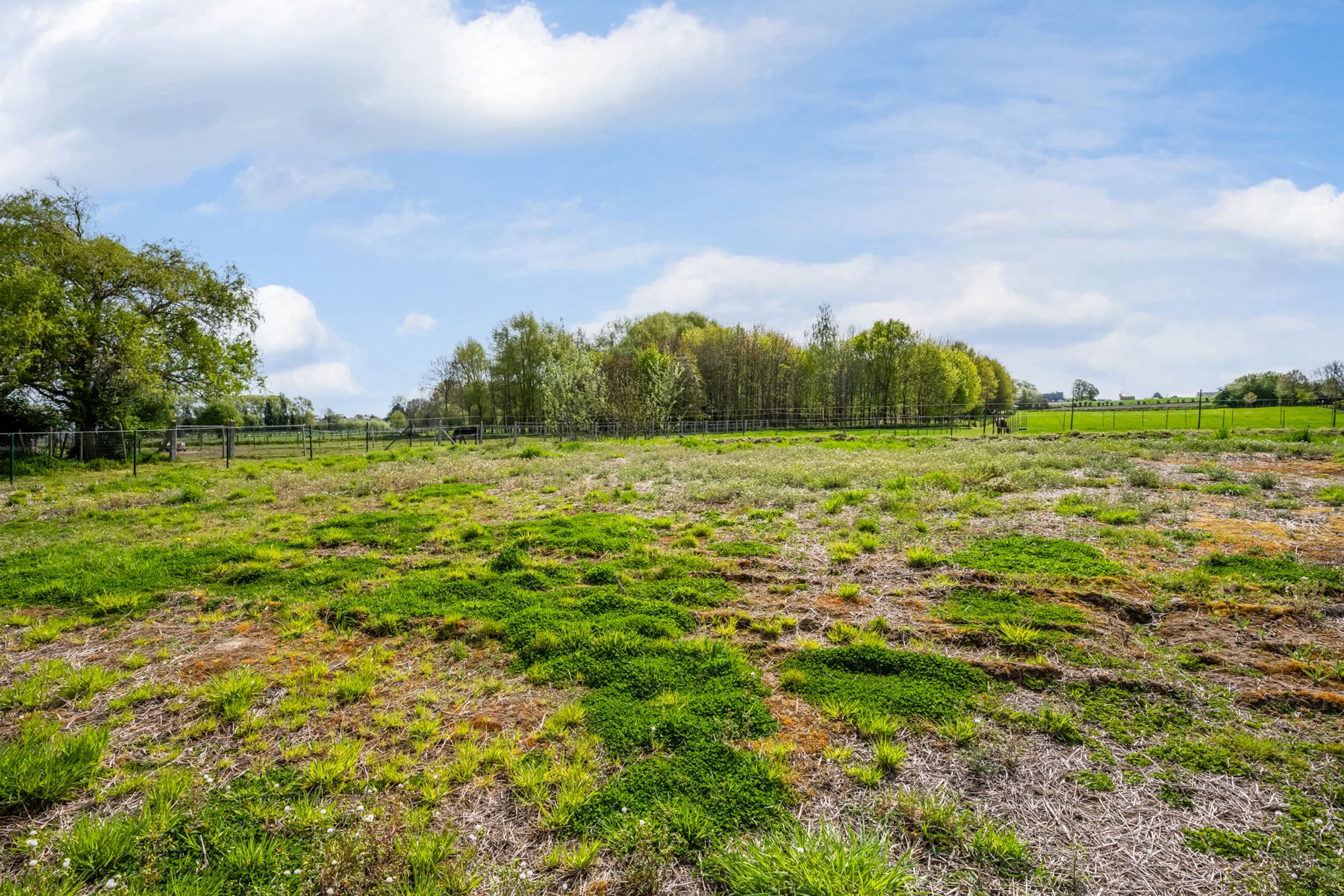 Instapklare nieuwbouwwoning met uitzicht op de velden foto 24