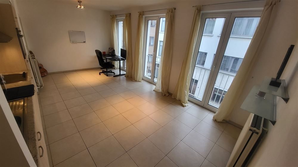 1-slpk appartement vlakbij stadspark foto 10
