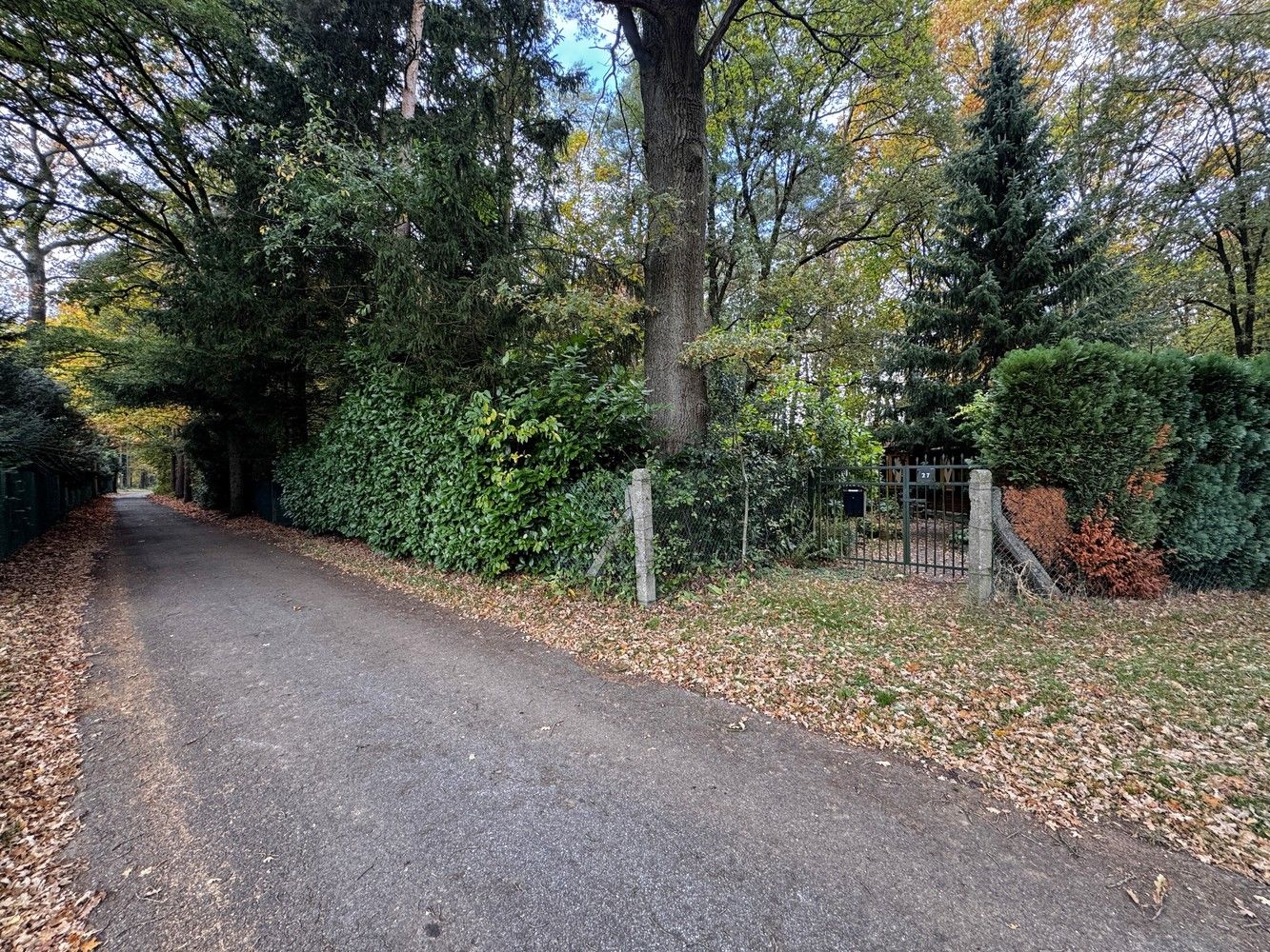 🏡 Knusse chalet met pipowagen te koop in het groen van Zutendaal 🌿✨ foto 20