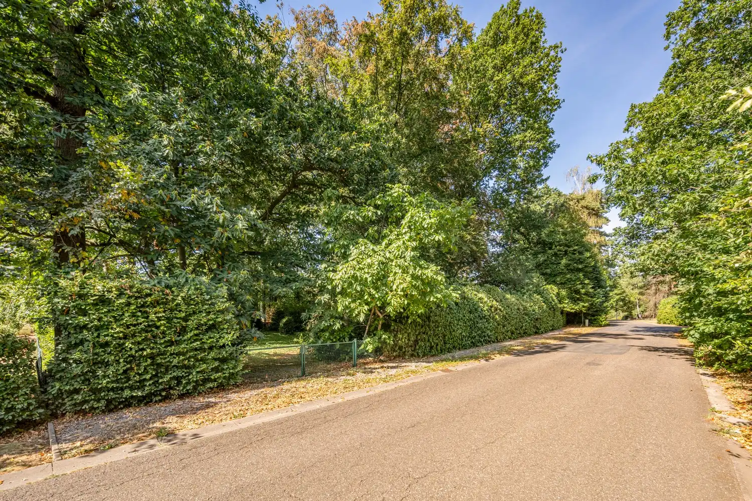 Uitzonderlijke villa met prachtig zuidgericht bouwperceel in residentieel Linden foto 17