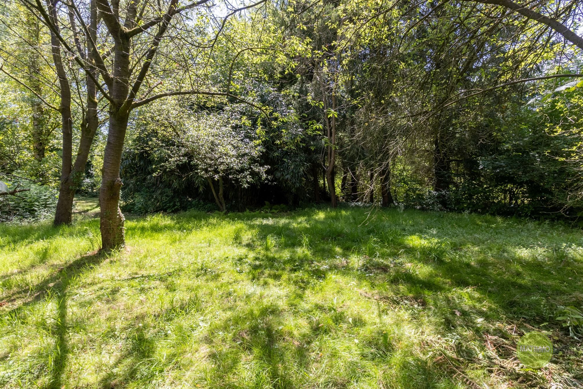 Charmante karakterwoning op een perceel van 2900 m2 in Mol foto 33