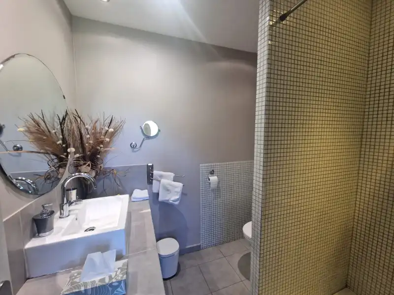 Villa omgevormd tot B&B met vijf mooie kamers en studio in een prachtige en groene omgeving in Carcasonne foto 45