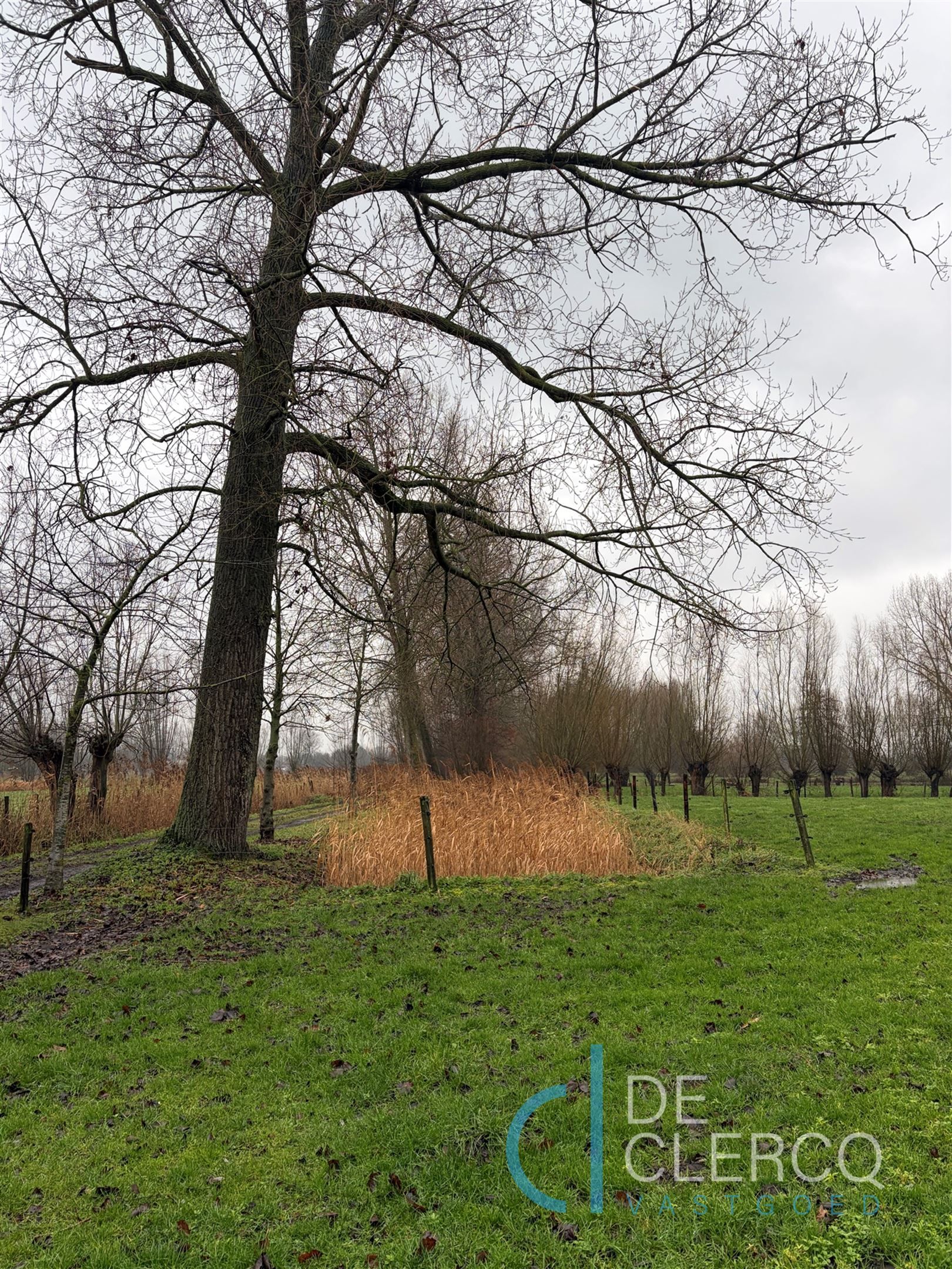  Goed onderhouden, ruime bungalow te huur in Lochristi! foto 13