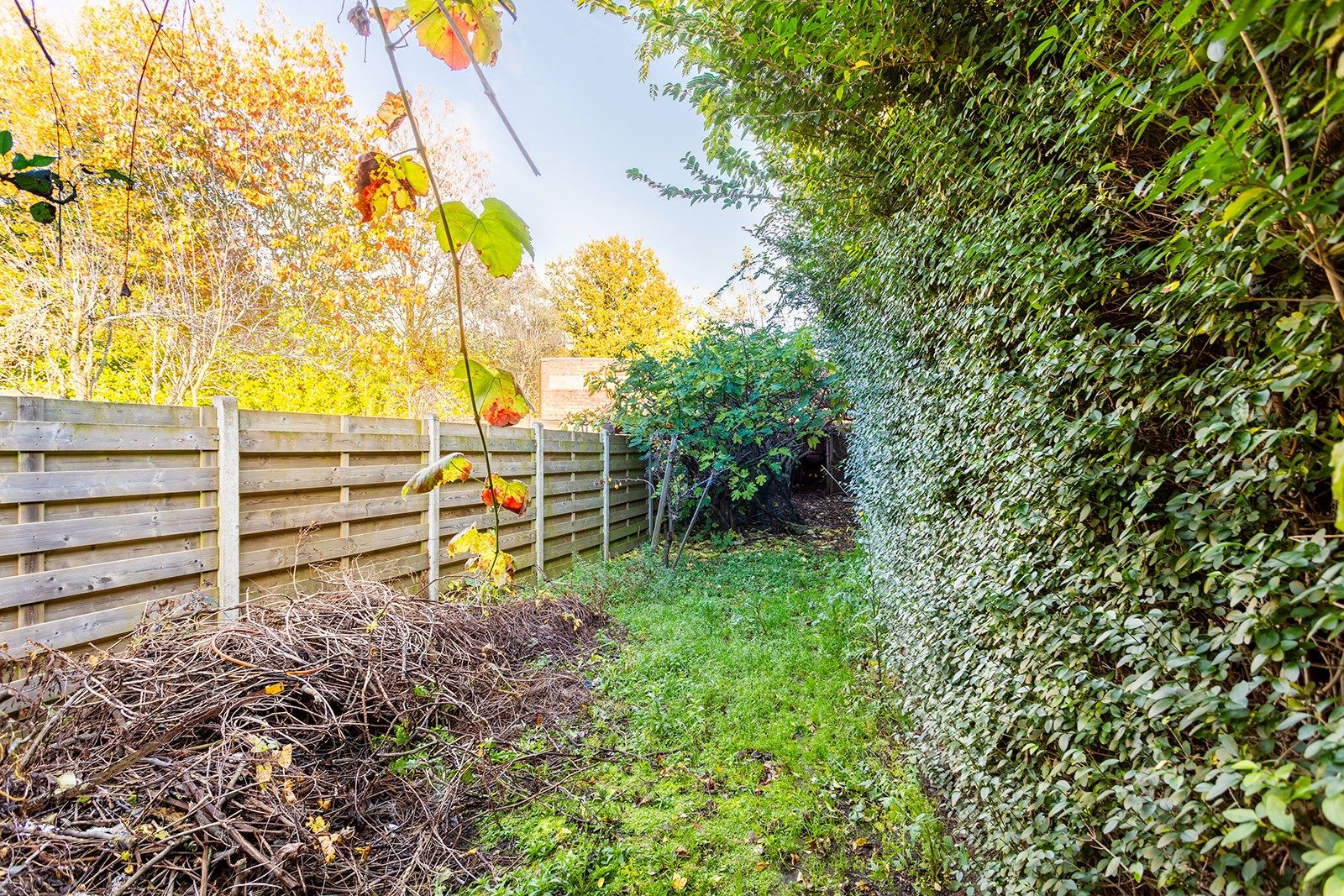 Ontdek deze renovatiewoning met een grote tuin en veel mogelijkheden foto 9