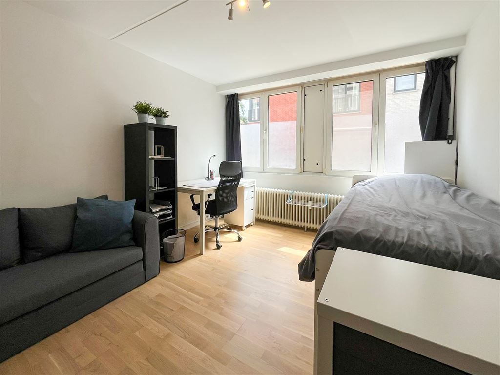 Gerenoveerde gelijkvloerse studio in hartje Leuven! foto 7