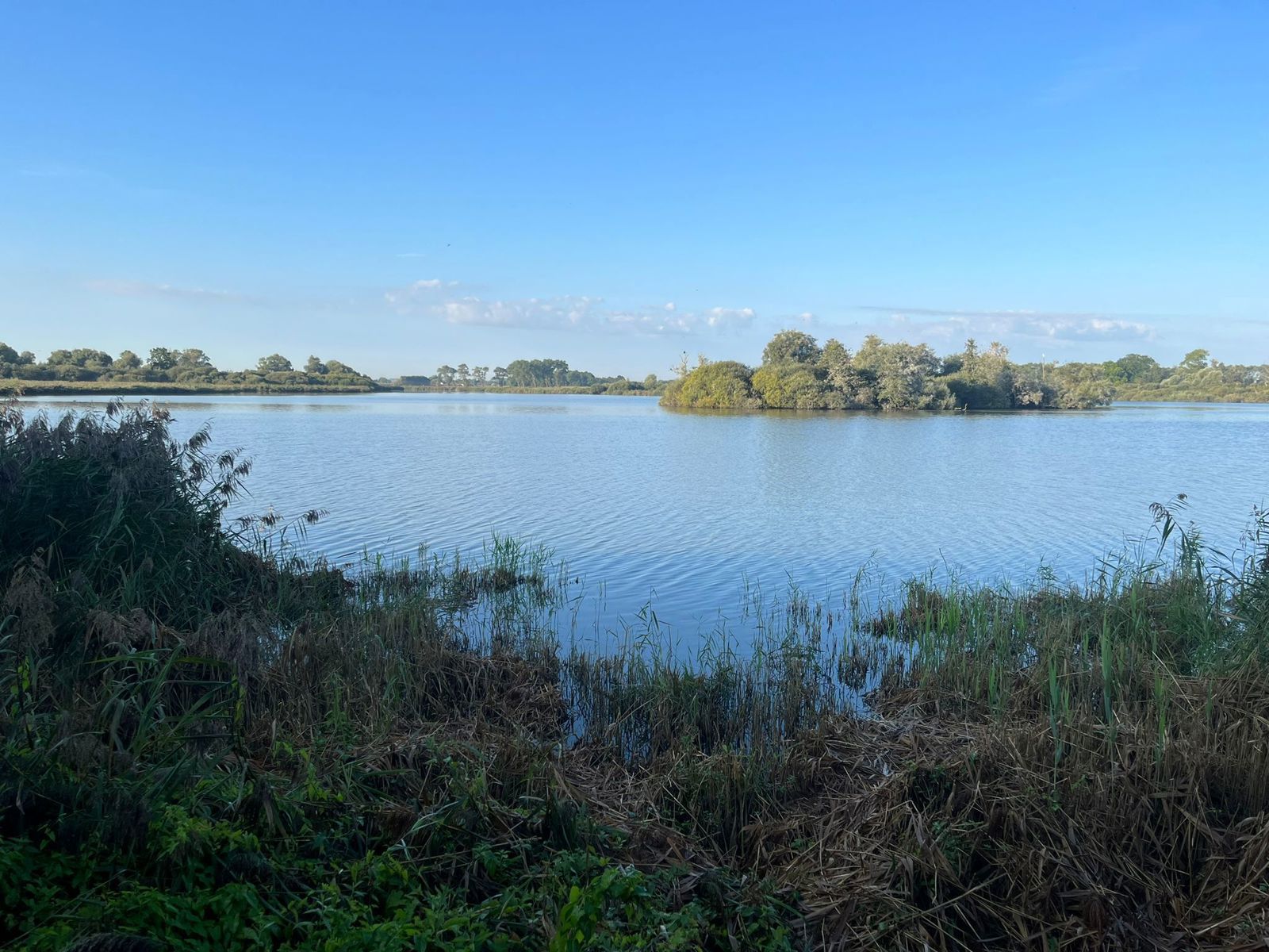 Charmante woning met uitzicht over polderlandschap foto 13