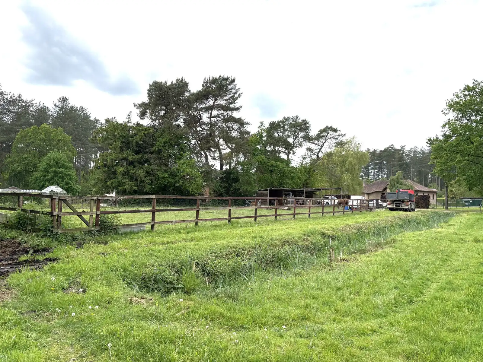 Grote weide en bos foto 3