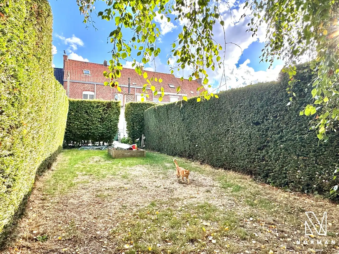 Woning met 3 slaapkamers, tuin en uitweg met garage te koop in Gullegem! foto 12