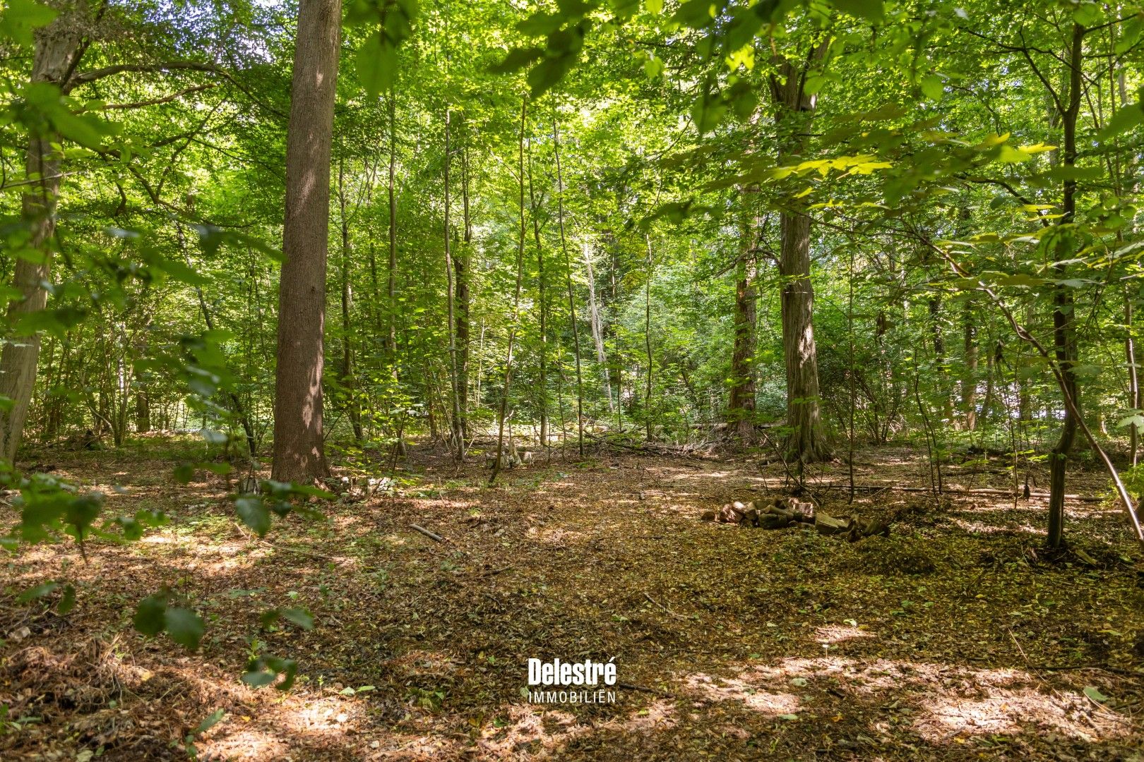 TIJDLOZE VILLA OP 3.317 M2 BOIS DE STRIHOUX foto 29