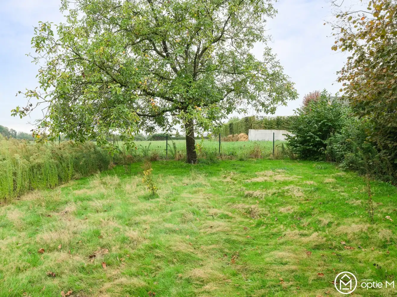 Open bebouwing te koop in Kortenbos – ruim perceel en prachtig groen uitzicht foto 19