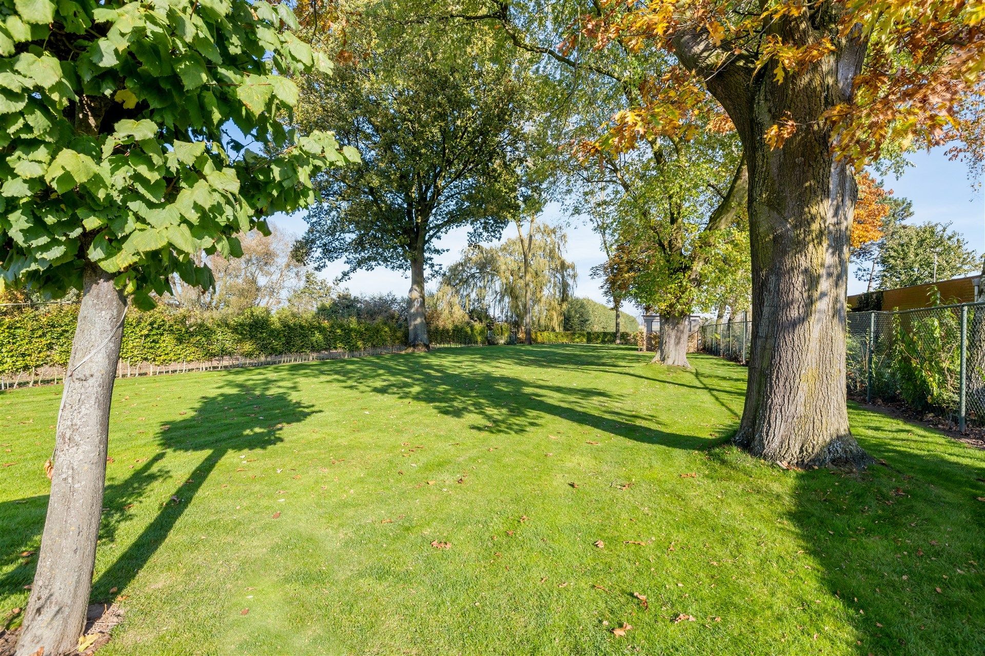 Ruime gezinswoning type bungalow met 4 slaapkamers en een mooi aangelegde tuin op een perceel van 2.098m² foto 21