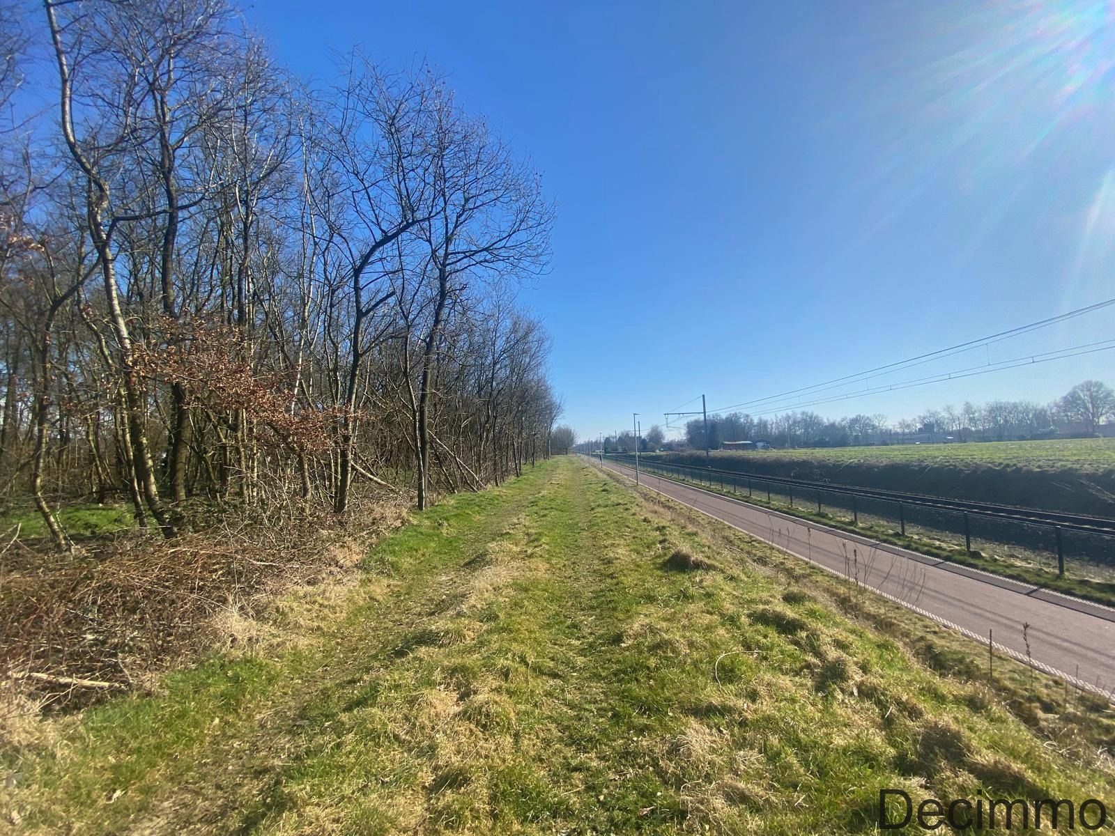 Landbouwgrond (bebost)  aan Schoormolenstraat te Balen foto 5