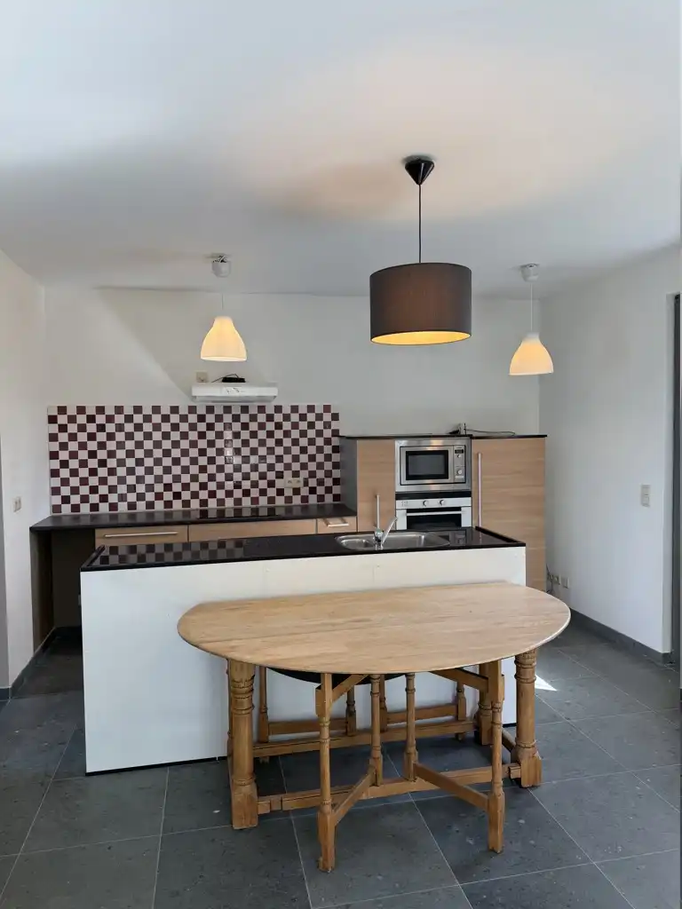 Gelijkvloers appartement 2de verblijf met 1 slpk en terras foto 3