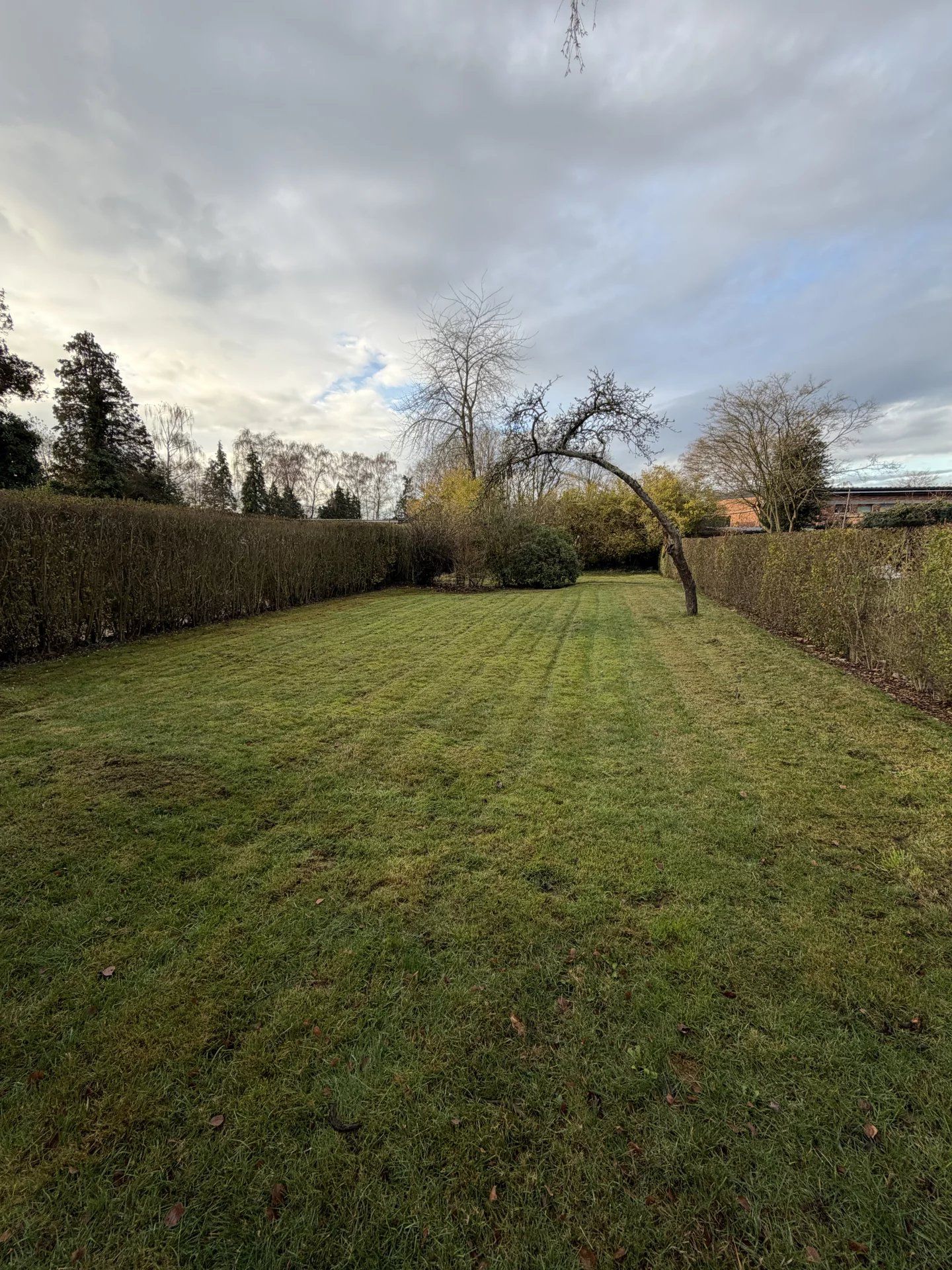 Prachtig gerenoveerde woning te Beringen foto 36
