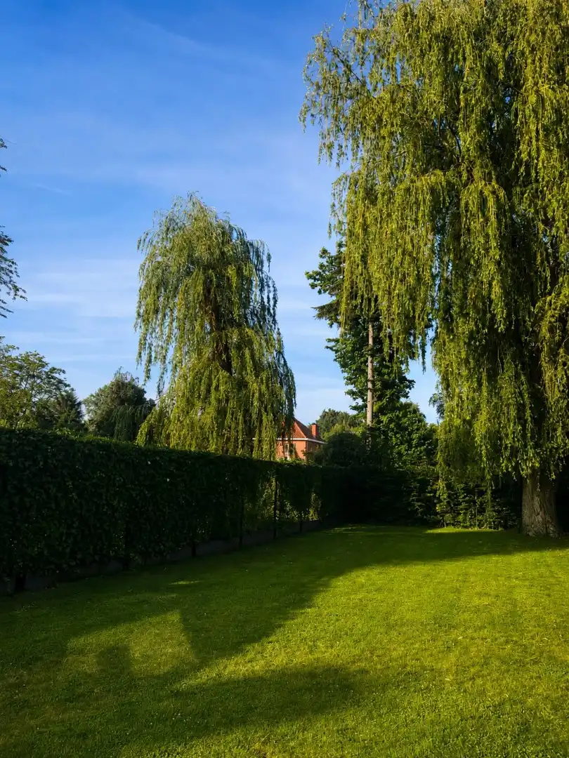 Instapklare, stijlvolle gezinswoning op toplocatie in Vriesdonk foto 12