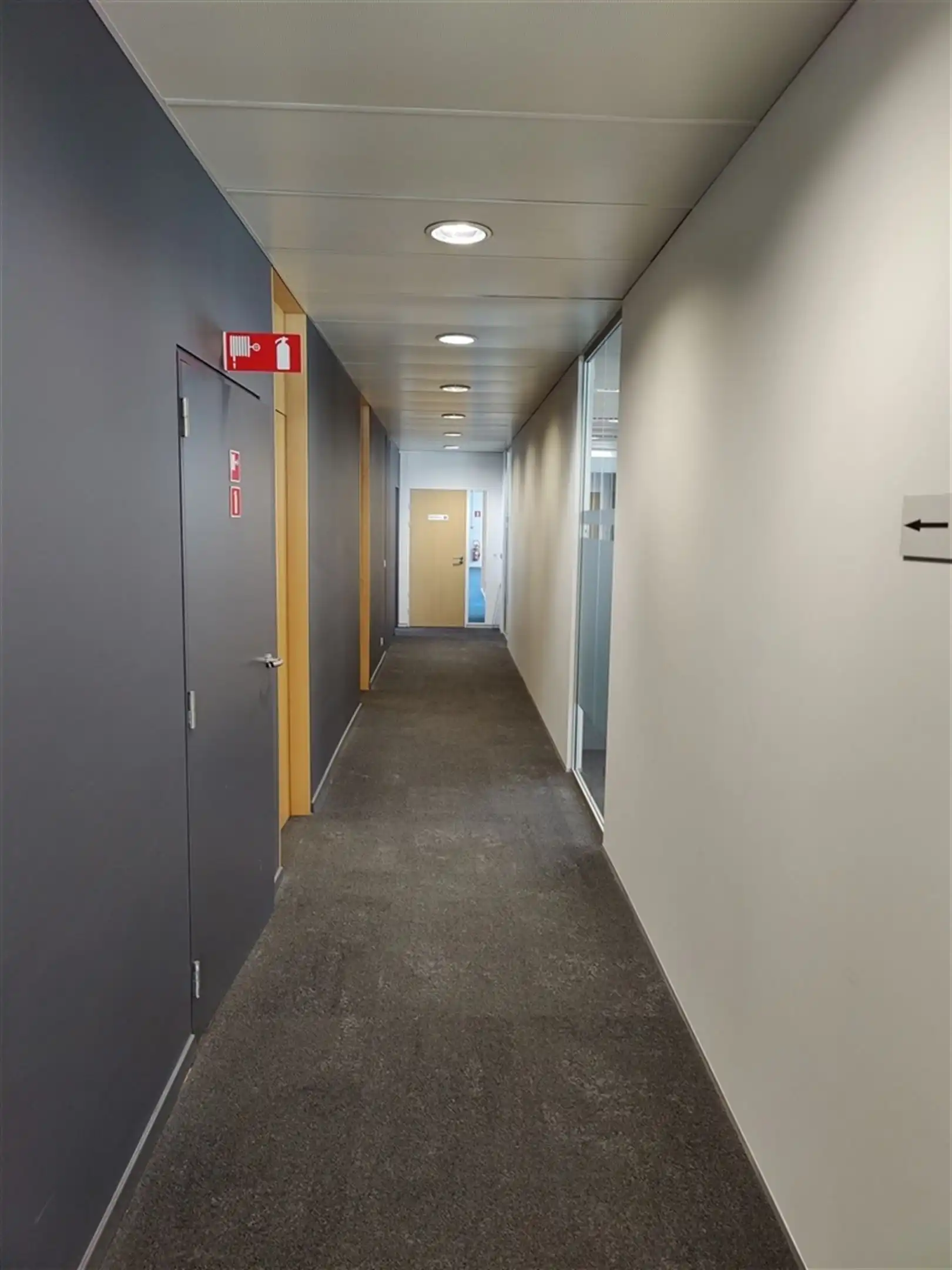 LOUIZA 209A: vanaf 222m² foto 13