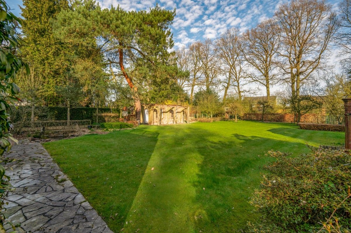 Charmant te renoveren woning op 2192m² aan de voet van het Zoerselbos. foto 18