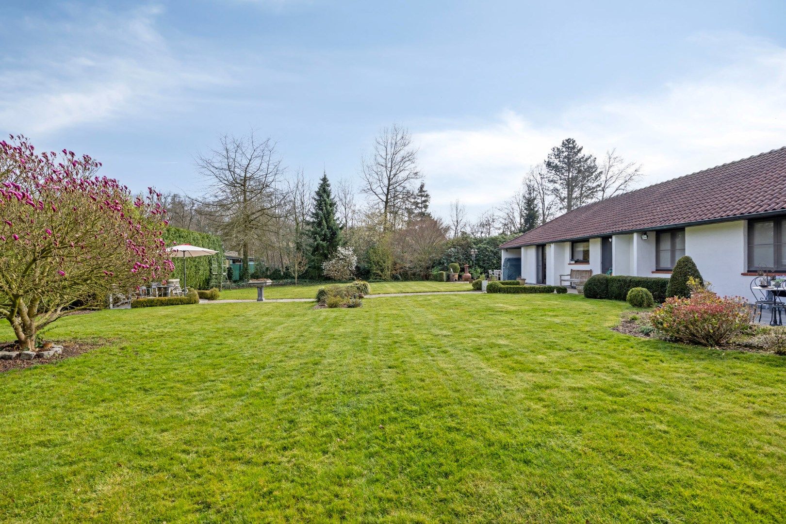 Gelijkvloerse woning met 3 slpks op een prachtig perceel van 1.932 m² te Retie ! foto 31