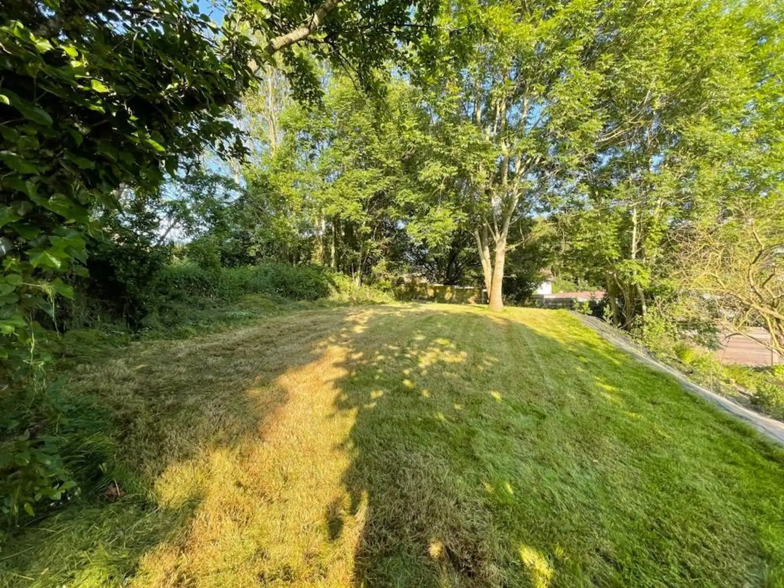 Rustig gelegen te renoveren en af te werken woning op 935m² foto 7