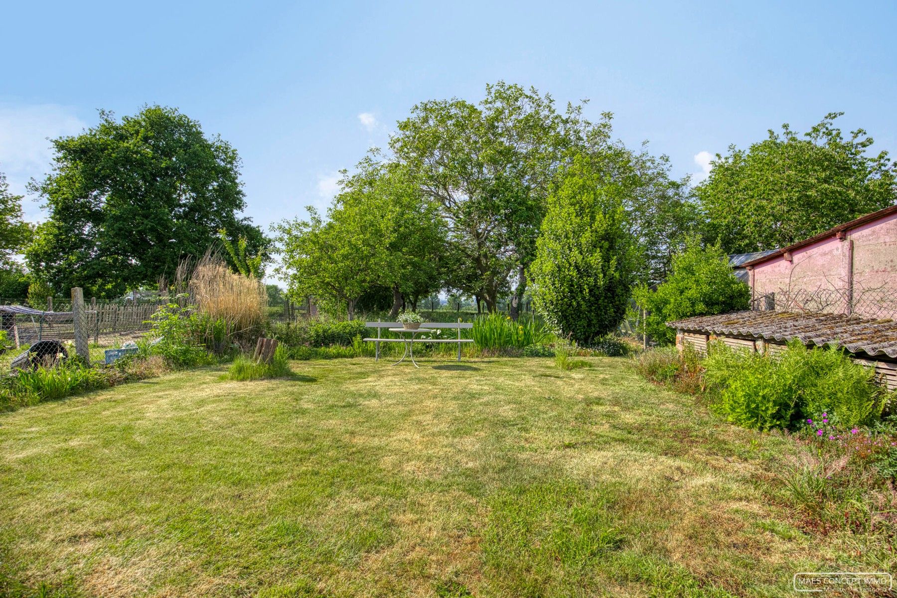 Te renoveren woning te koop te Anzegem op een perceel van 1000 m2 foto 17